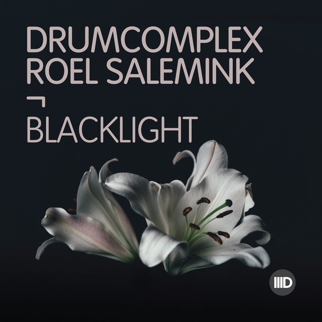 Black Light album art
