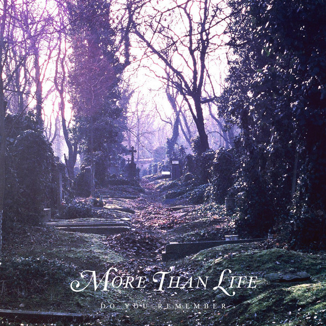 Cover of Do You Remember by More Than Life
