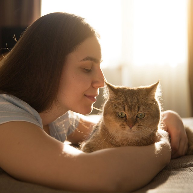 Binaural Serenade of Paws: Nurturing Nature's Fire Melodies for Beloved Cats cover art