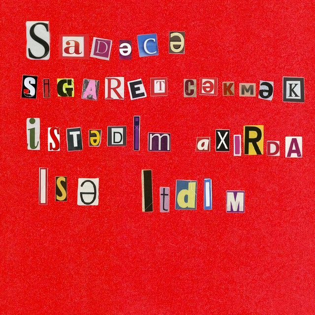 Sadəcə siqaret çəkmək istədim, axırda isə itdim cover art