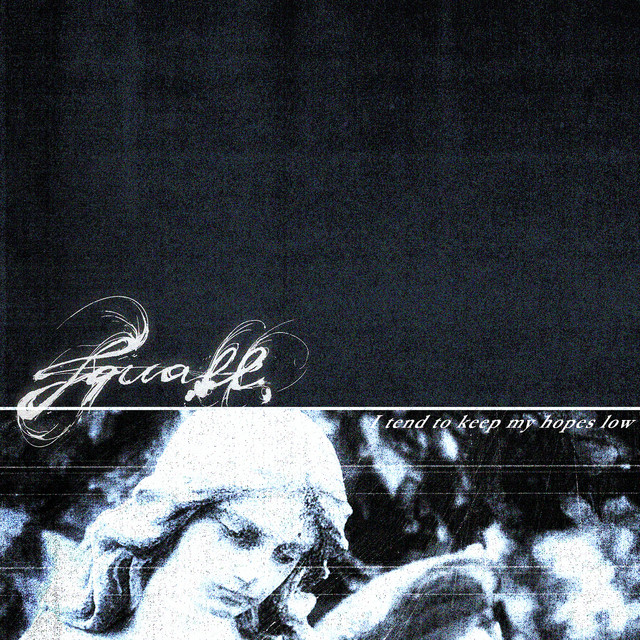 Cover art: I Tend to Keep My Hopes Low — squall.