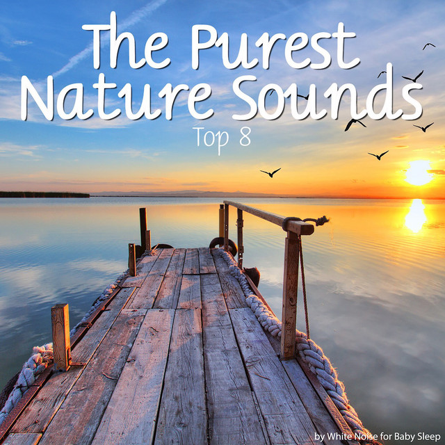 The Purest Nature Sounds - Top 8 cover art
