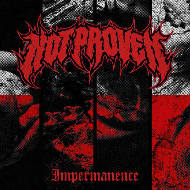 Impermanence cover art