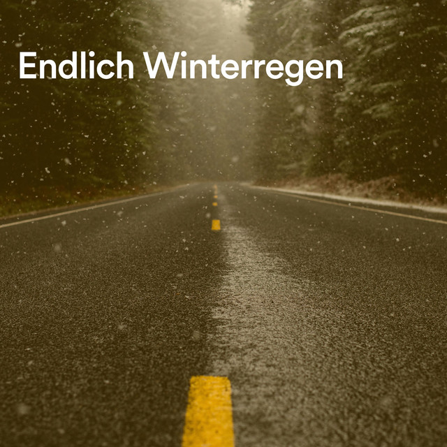 Endlich Winterregen cover art