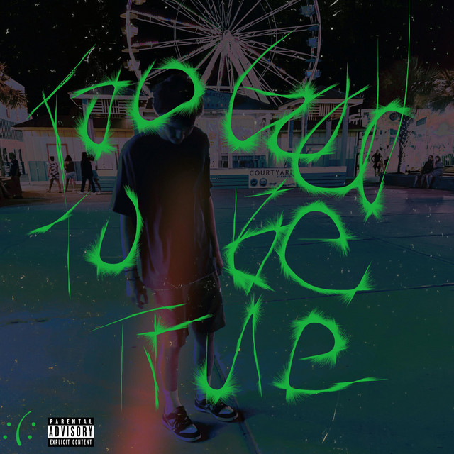 Too Good to Be True cover art