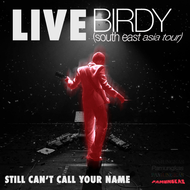 Still Can't Call Your Name (Live - Birdy South East Asia Tour) cover art