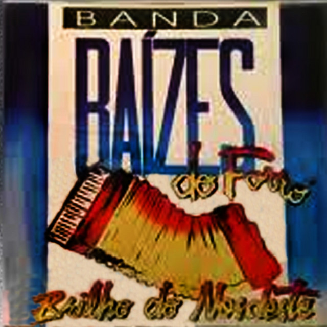 BANDA RAÍZES DO FORRÓ