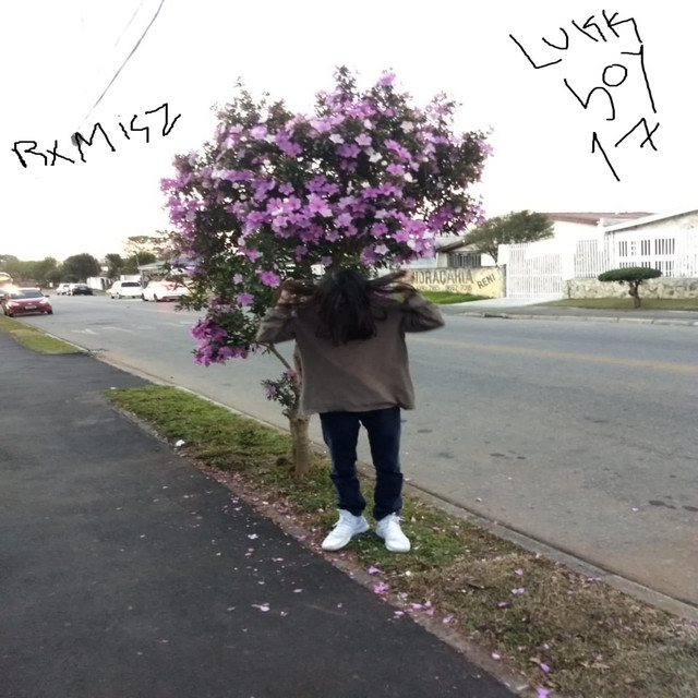 Lukk Boy Plug