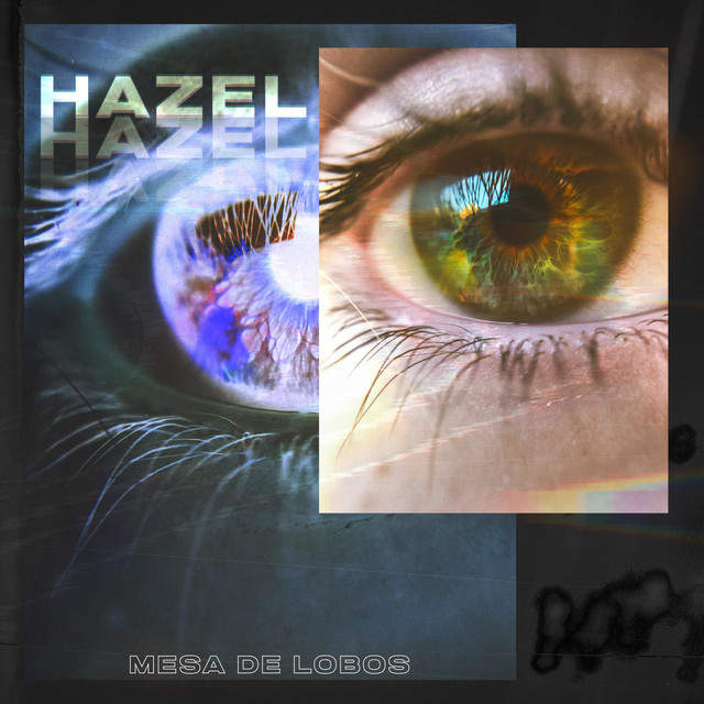 Hazel cover art