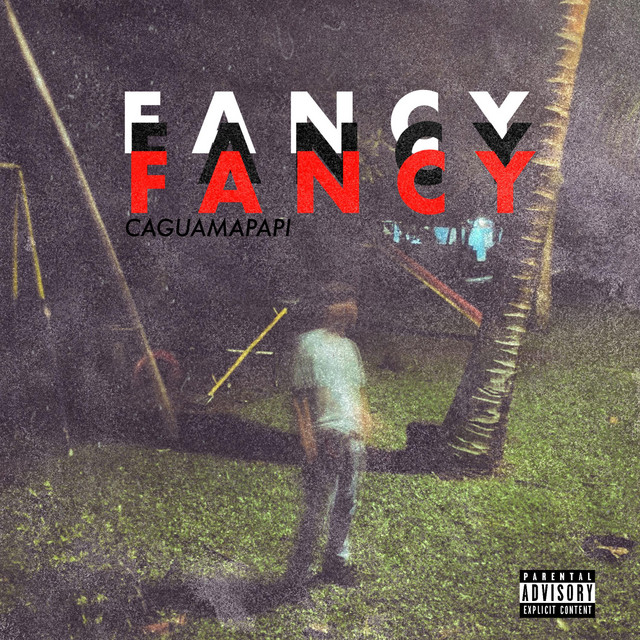 Fancy cover art