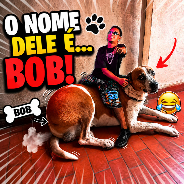 O Nome Dele É Bob
