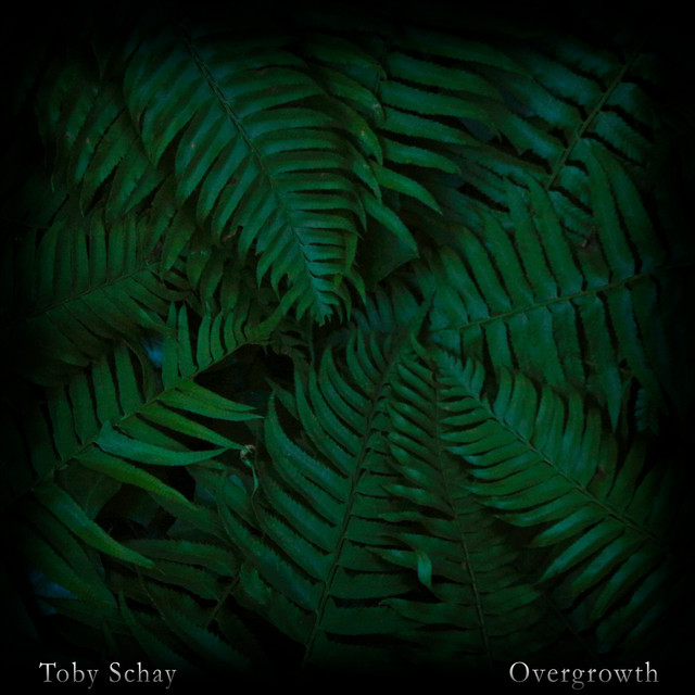 Overgrowth cover art