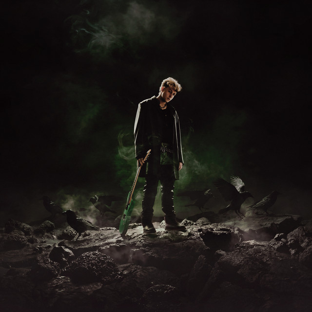 LA STORIA DEL RAGAZZO CORVO cover art