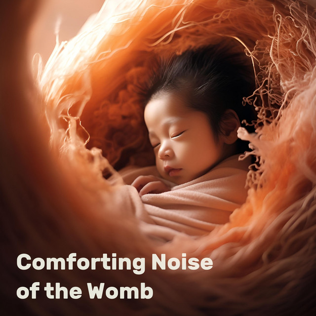Comforting Noise of the Womb cover art