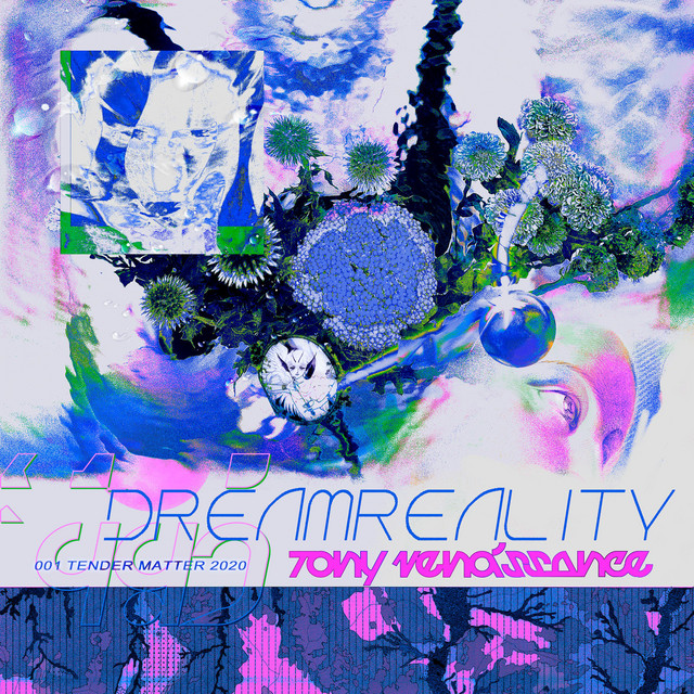 Dreamreality cover