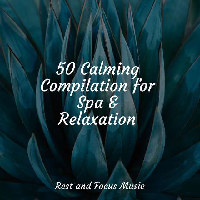 50 Calming Compilation for Spa & Relaxation - Album by Sleep Sounds of ...