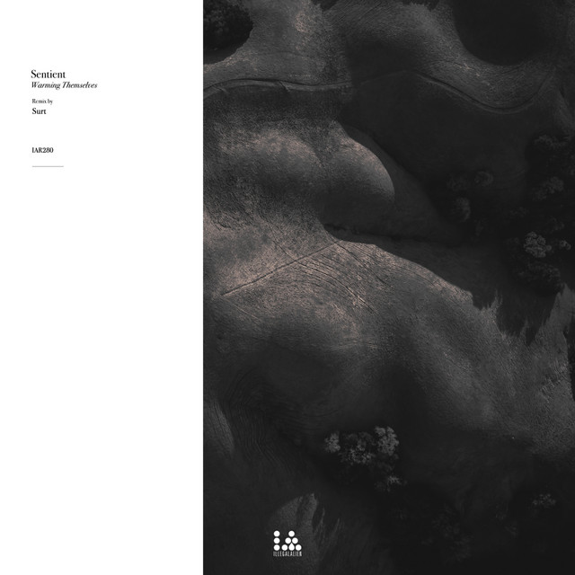 Warming Themselves cover art