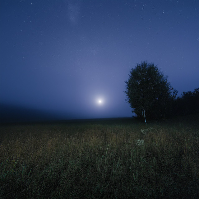 Soffia La Notte