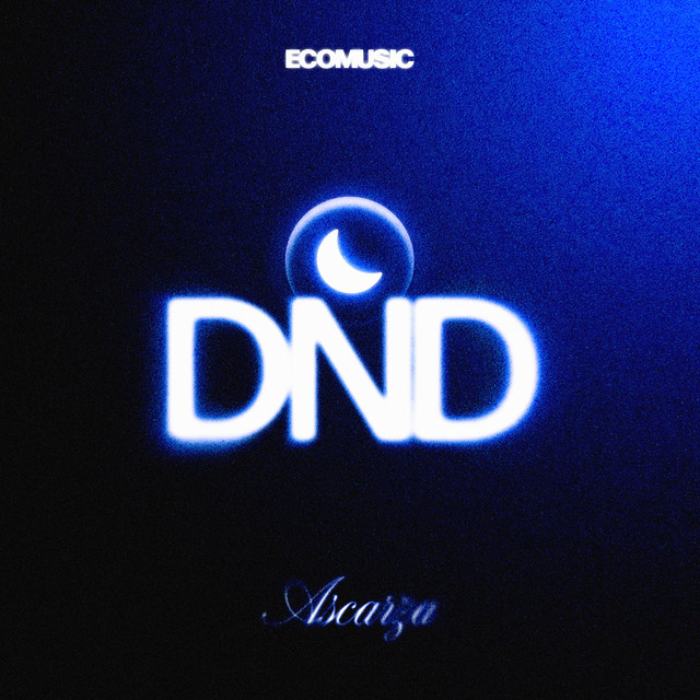 D N D