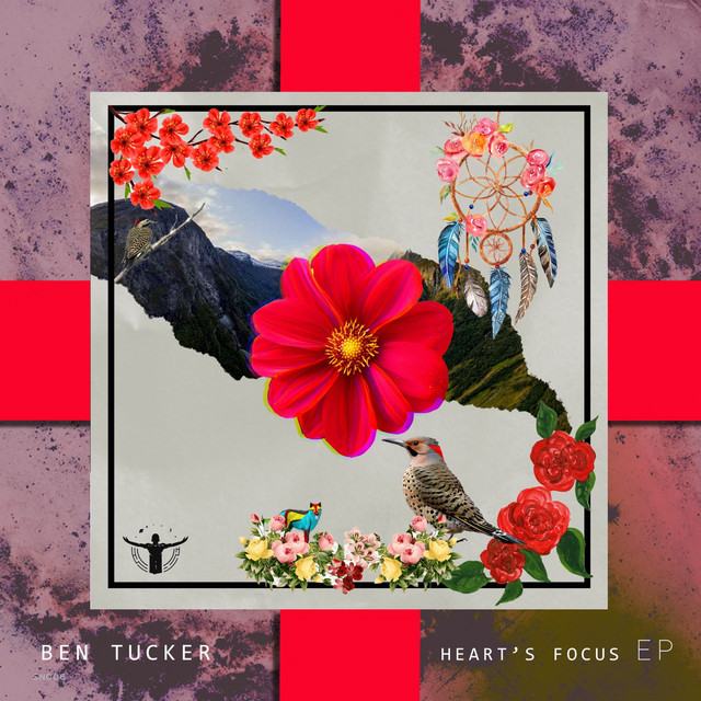 Heart's Focus album art