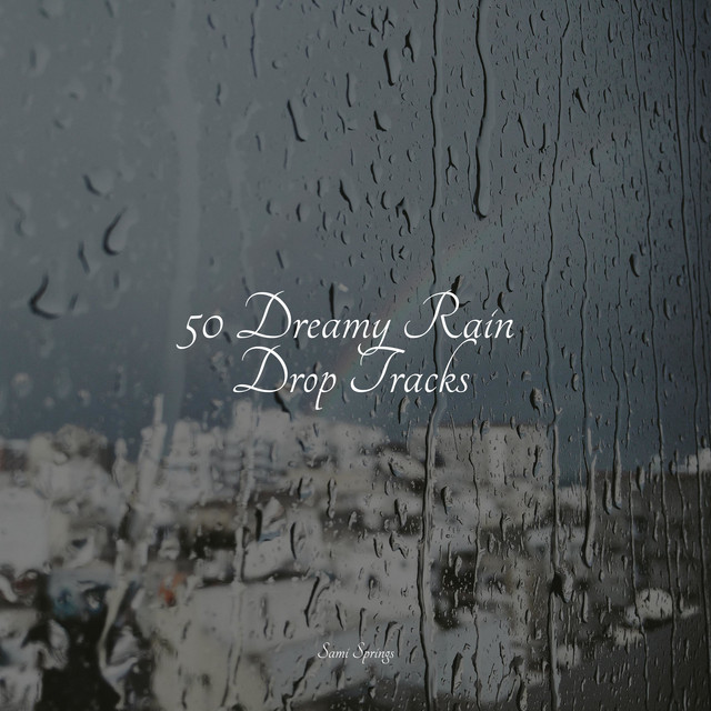 50 Dreamy Rain Drop Tracks - Album by Sleepy Night Music | Spotify