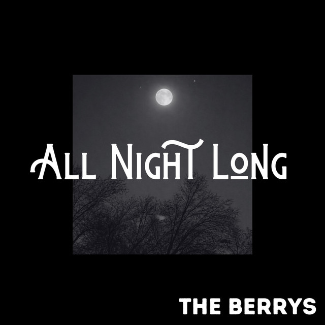Pochette du titre All Night Long