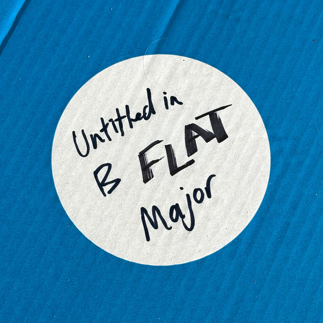 Untitled in B Flat Major - song and lyrics by Skinwigs | Spotify