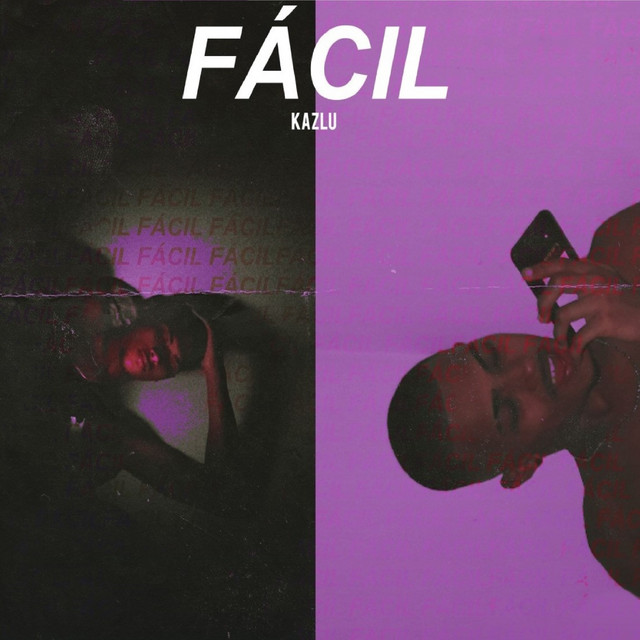 Fácil cover art