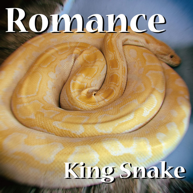 King Snake | Spotify