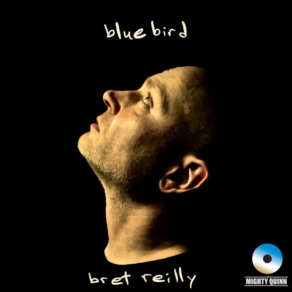 Bluebird cover art