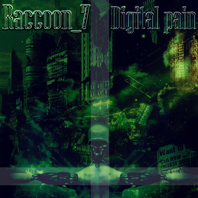 Raccoon_7 Photo