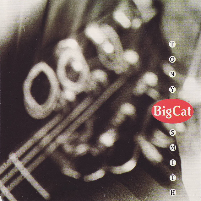Big Cat cover art
