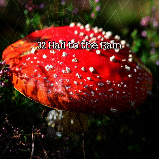 32 Hail to the Rain cover art