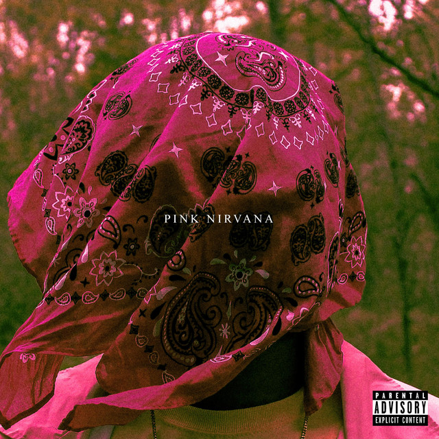 Pink Nirvana cover art