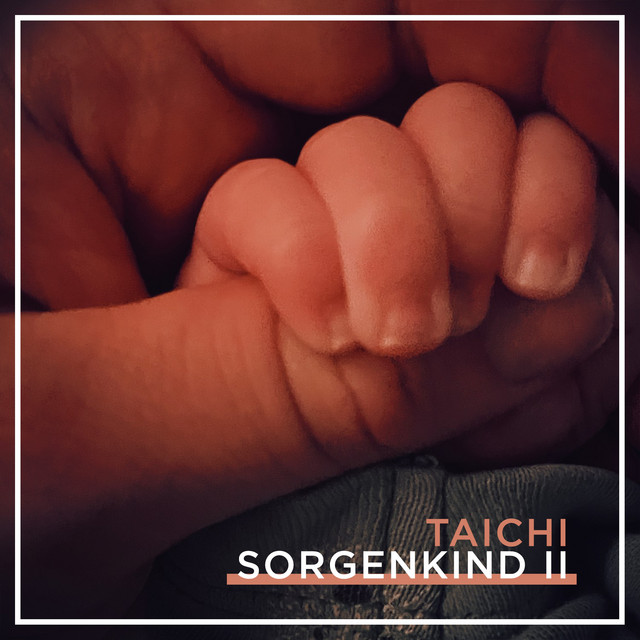 Sorgenkind II cover