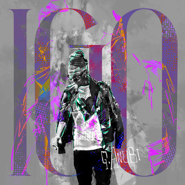 IGO cover art