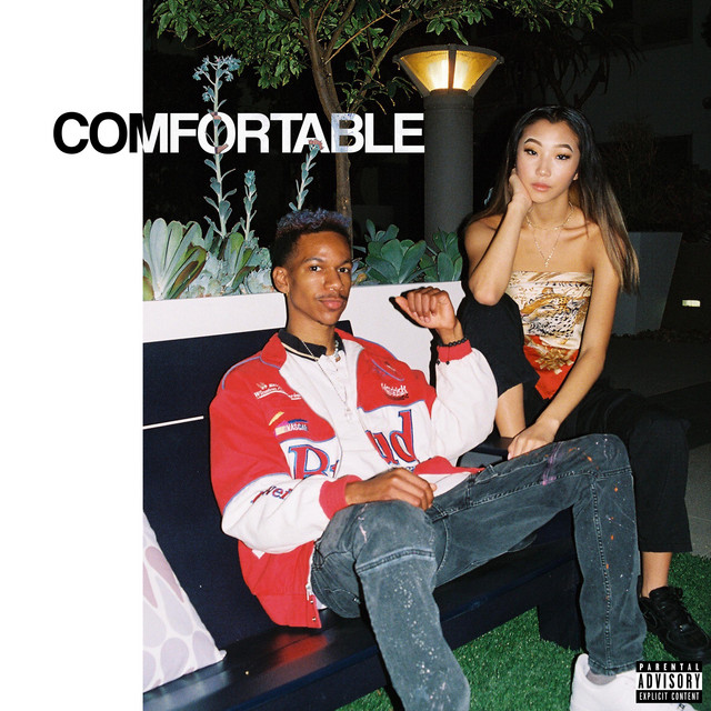 Comfortable cover art