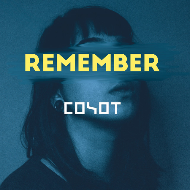 Remember cover art