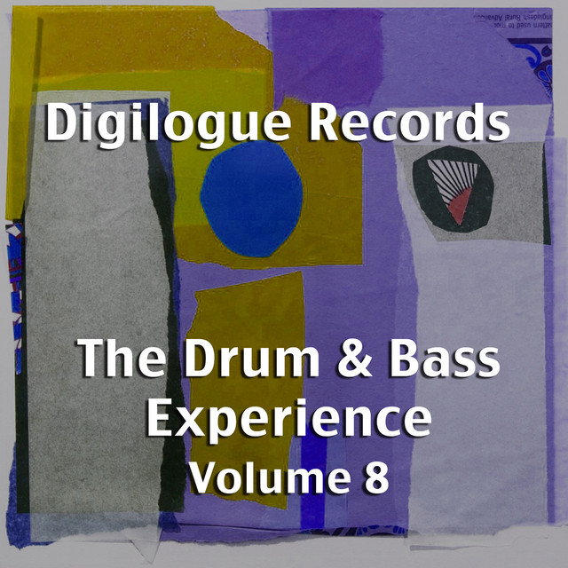 The Drum & Bass Experience, Vol. 8 cover