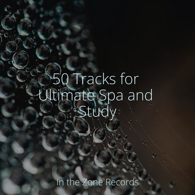 50 Tracks for Ultimate Spa and Study - Album by Meditación | Spotify