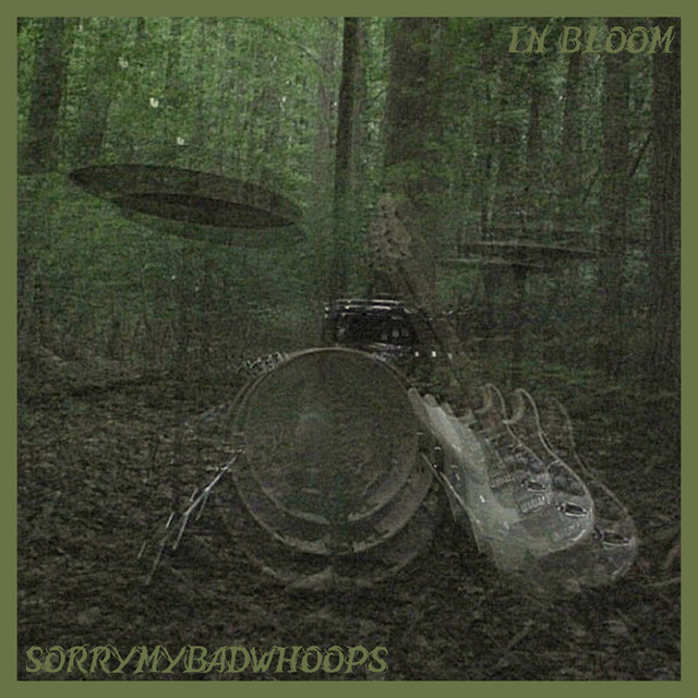 In Bloom cover art