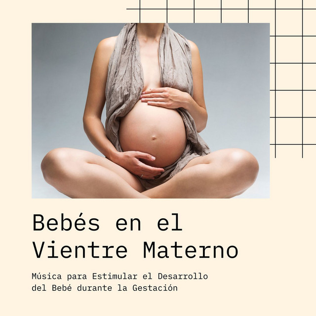 Bebés en el Vientre Materno: Música para Estimular el Desarrollo del Bebé durante la Gestación cover art