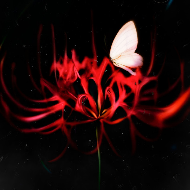 Every Second ^_^ cover art