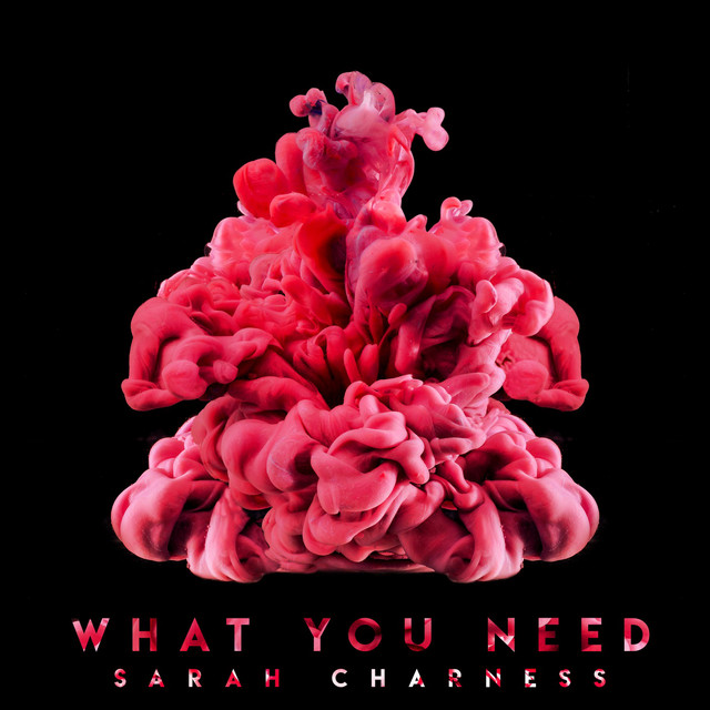 What You Need (Extended Mix) artwork