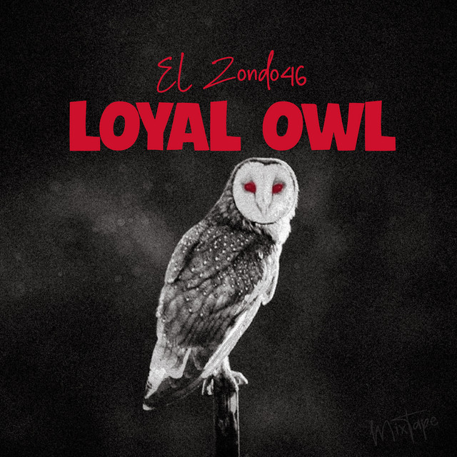 LOYAL OWL cover art