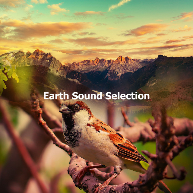 Nature Hot Springs - song and lyrics by Deep Sleep Nature Sounds | Spotify