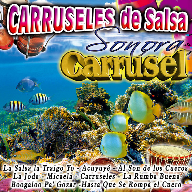 Carruseles de Salsa cover art