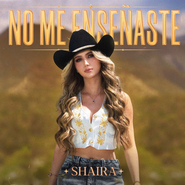 No Me Enseñaste cover art