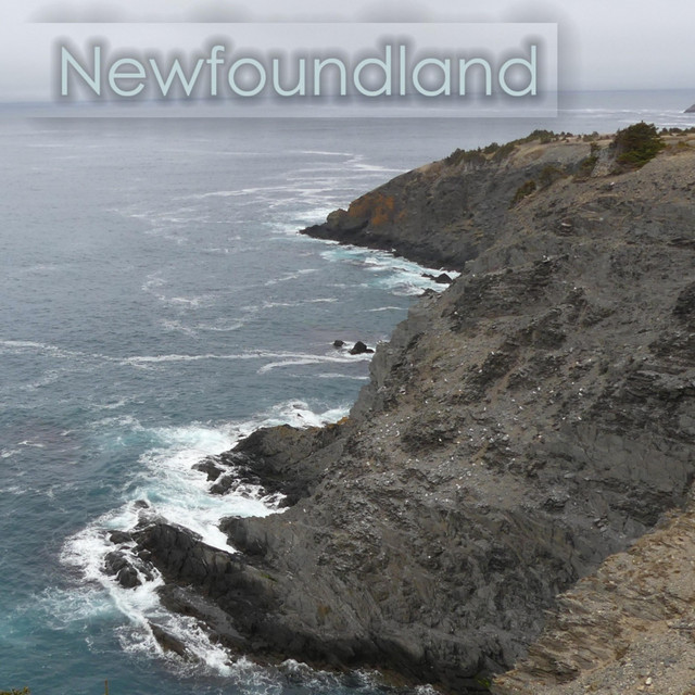 Newfoundland cover art