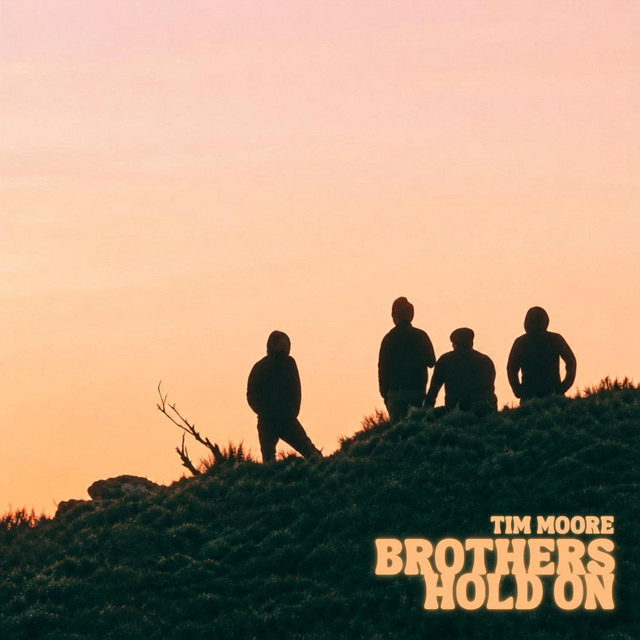 Brothers Hold On cover